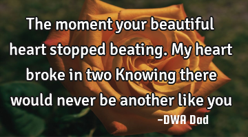 The moment your beautiful heart stopped beating. My heart broke in two Knowing there would never be