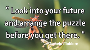 " Look into your future and arrange the puzzle before you get there. "