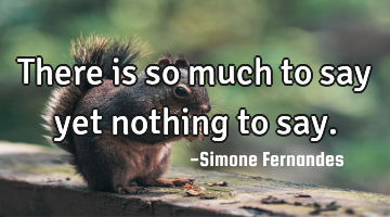 There is so much to say yet nothing to say.