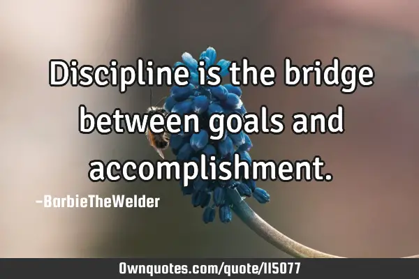 Discipline is the bridge between goals and