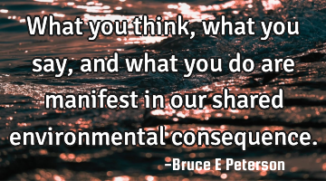 What you think, what you say, and what you do are manifest in our shared environmental consequence.