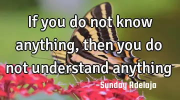 If you do not know anything, then you do not understand anything