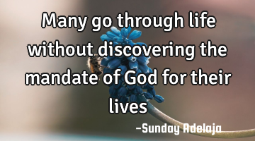 Many go through life without discovering the mandate of God for their lives