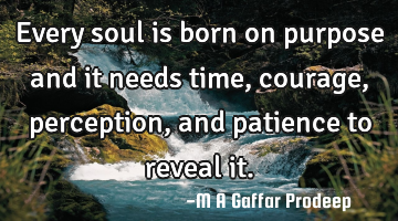 Every soul is born on purpose and it needs time, courage, perception, and patience to reveal it.