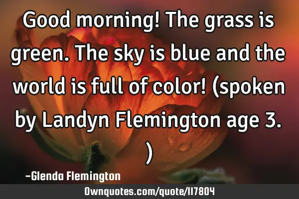 Good morning! The grass is green. The sky is blue and the world is full of color! (spoken by Landyn