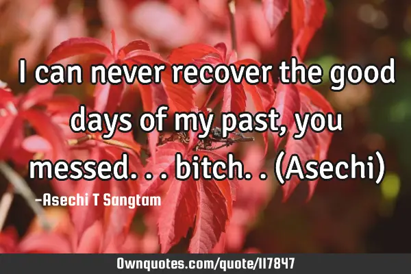 I can never recover the good days of my past, you messed... bitch..(Asechi)