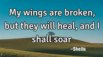 My wings are broken, but they will heal, and I shall