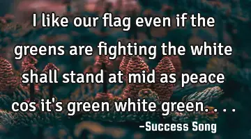 I like our flag even if the greens are fighting the white shall stand at mid as peace cos it's