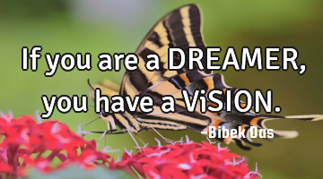 If you are a DREAMER, you have a ViSION.