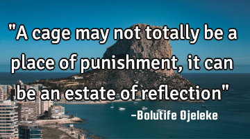 "A cage may not totally be a place of punishment, it can be an estate of reflection"