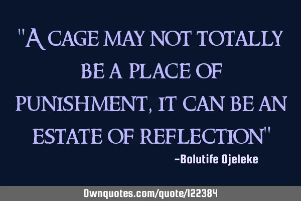 "A cage may not totally be a place of punishment, it can be an estate of reflection"