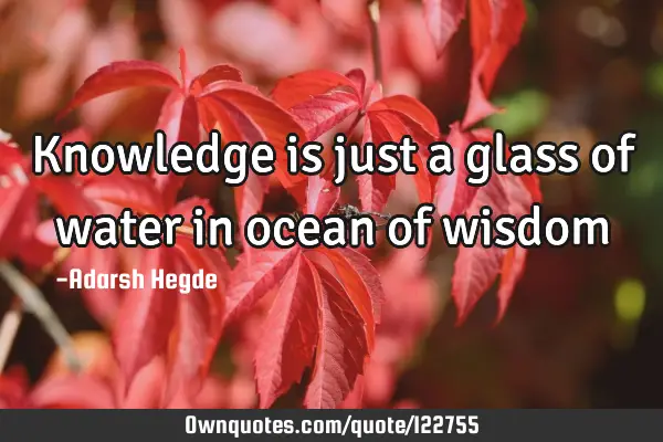 Knowledge is just a glass of water in ocean of