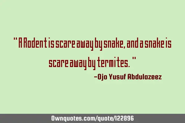 " A Rodent is scare away by snake, and a snake is scare away by termites. "