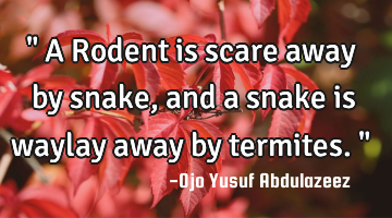 " A Rodent is scare away by snake, and a snake is waylay away by termites. "