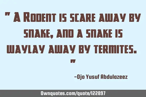 " A Rodent is scare away by snake, and a snake is waylay away by termites. "