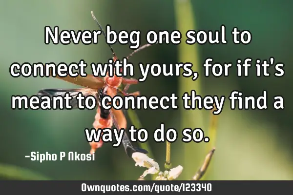 Never beg one soul to connect with yours, for if it