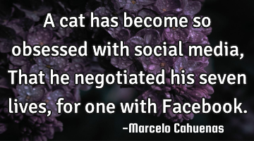 A cat has become so obsessed with social media, That he negotiated his seven lives, for one with F