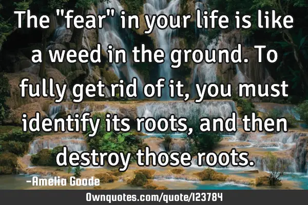 The "fear" in your life is like a weed in the ground. To fully get rid of it, you must identify its