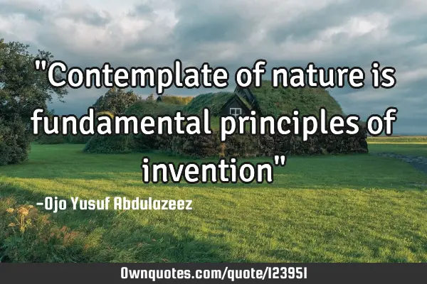 "Contemplate of nature is fundamental principles of invention"