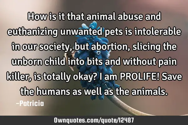 How is it that animal abuse and euthanizing unwanted pets is intolerable in our society, but