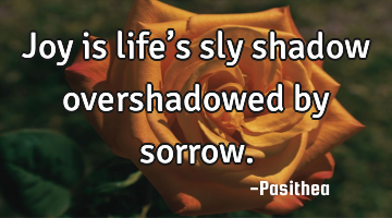 Joy is life’s sly shadow overshadowed by sorrow.