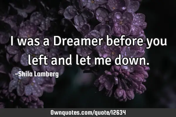 I was a Dreamer before you left and let me