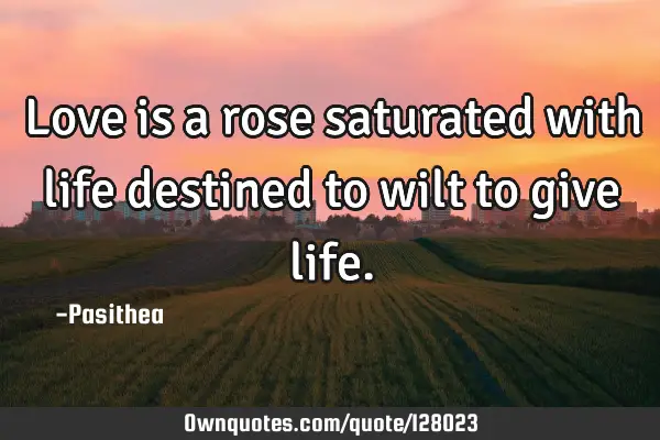 Love is a rose saturated with life destined to wilt to give