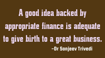 A good idea backed by appropriate finance is adequate to give birth to a great business.