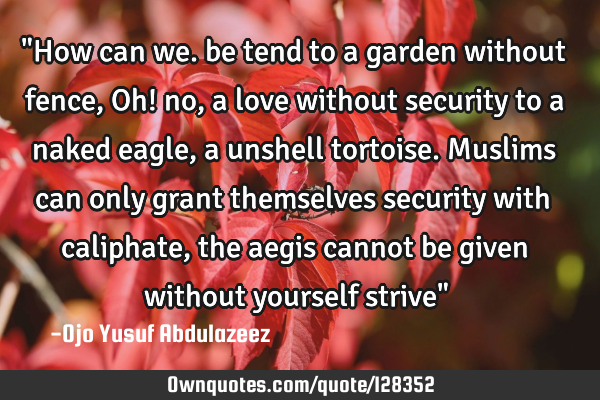 "How can we. be tend to a garden without fence, Oh! no, a love without security to a naked eagle, a