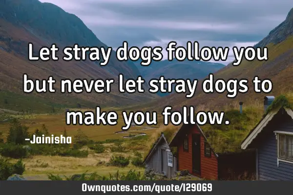 Let stray dogs follow you but never let stray dogs to make you