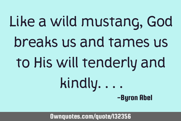 Like a wild mustang, God breaks us and tames us to His will tenderly and