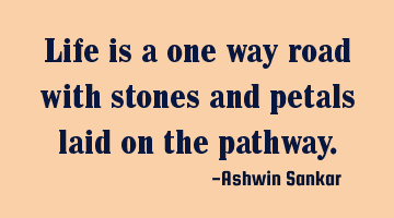 Life is a one way road with stones and petals laid on the pathway.