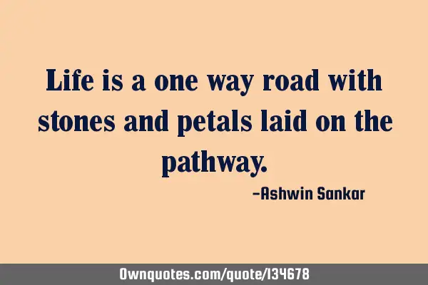 Life is a one way road with stones and petals laid on the