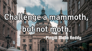Challenge a mammoth, but not moth.