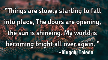 "Things are slowly starting to fall into place, The doors are opening, the sun is shineing. My