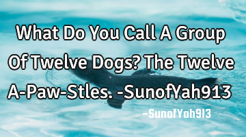 What Do You Call A Group Of Twelve Dogs? The Twelve A-Paw-Stles. -SunofYah913