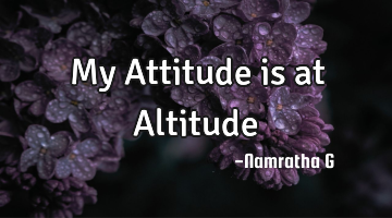 My Attitude is at Altitude