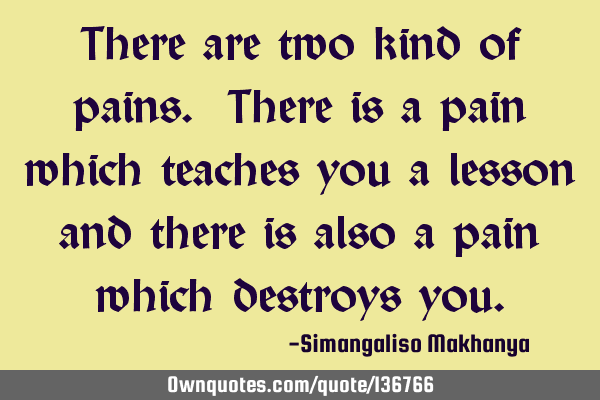 There are two kind of pains. There is a pain which teaches you a lesson and there is also a pain