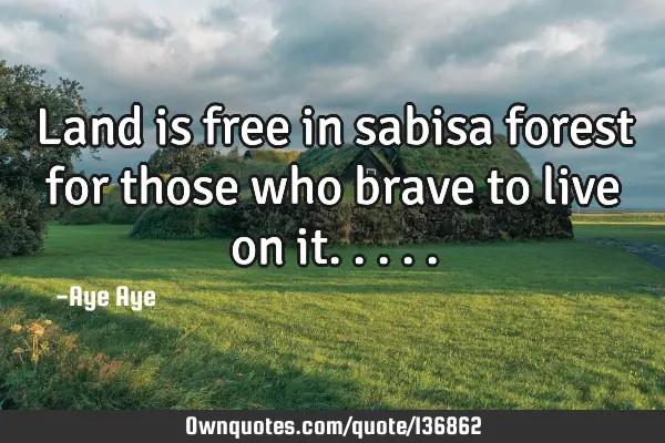 Land is free in sabisa forest for those who brave to live on