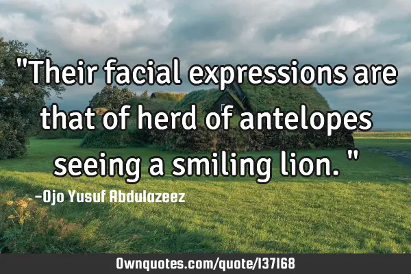 "Their facial expressions are that of herd of antelopes seeing a smiling lion."
