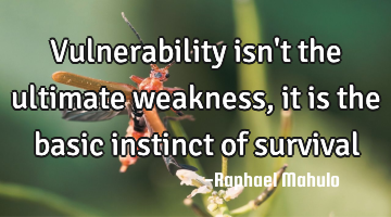 vulnerability isn