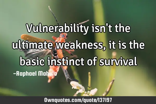 Vulnerability isn