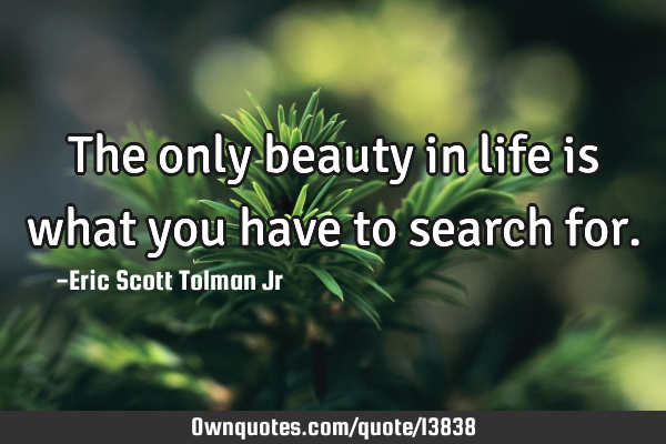 The only beauty in life is what you have to search