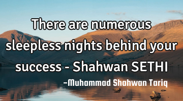 There are numerous sleepless nights behind your success - Shahwan SETHI