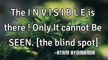 The I N V I S I B L E is there ! Only It cannot Be SEEN. [the blind spot]
