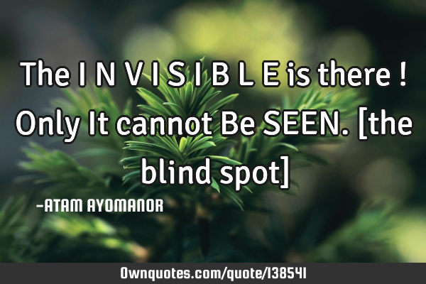 The I N V I S I B L E is there ! Only It cannot Be SEEN. [the blind spot]