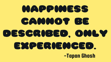 Happiness cannot be described, only experienced.
