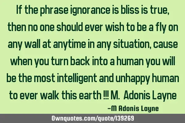 If the phrase ignorance is bliss is true, then no one should ever wish to be a fly on any wall at