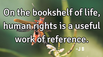 On the bookshelf of life, human rights is a useful work of
