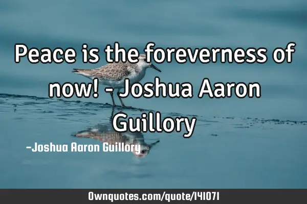 Peace is the foreverness of now! - Joshua Aaron G